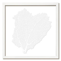 Framed Custom Sea Fan Art  (multiple sizes & colors) - White Frame