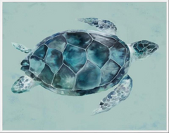 Under the Sea Turtle - Framed Giclee