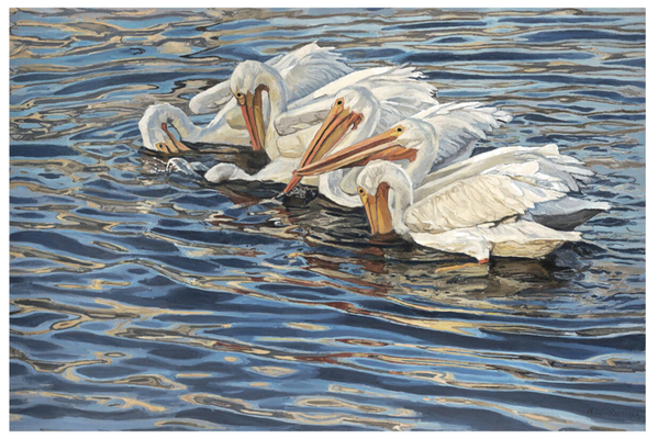 Six White Pelicans Giclee