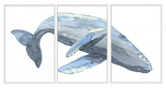 A Grande Baleia - Big Whale Framed Triptych