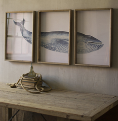 Triptych Whale -Framed Art