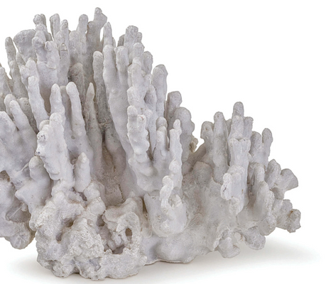 White Coral Art Piece Large